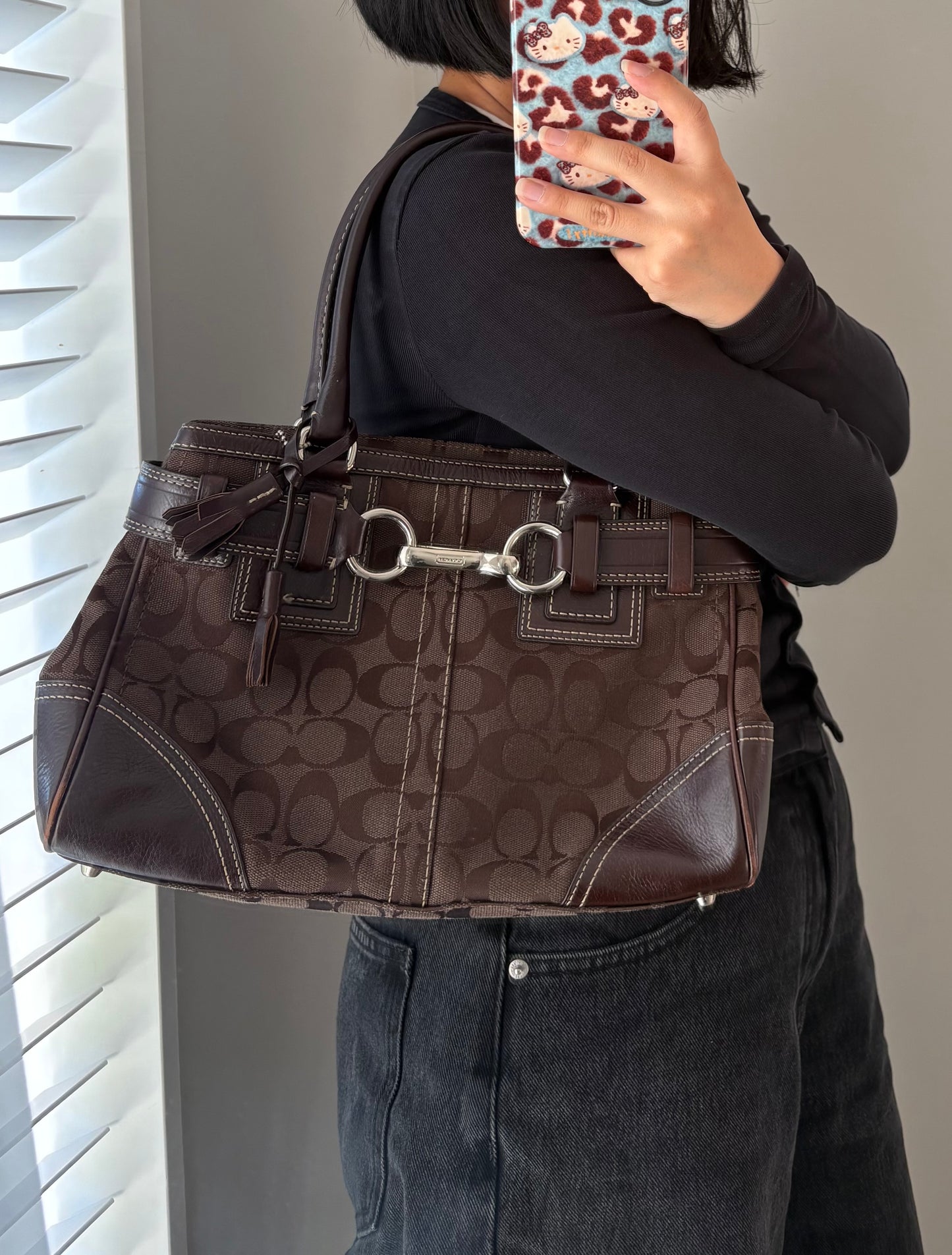 Coach Hamptons Choc Brown Signature C Satchel