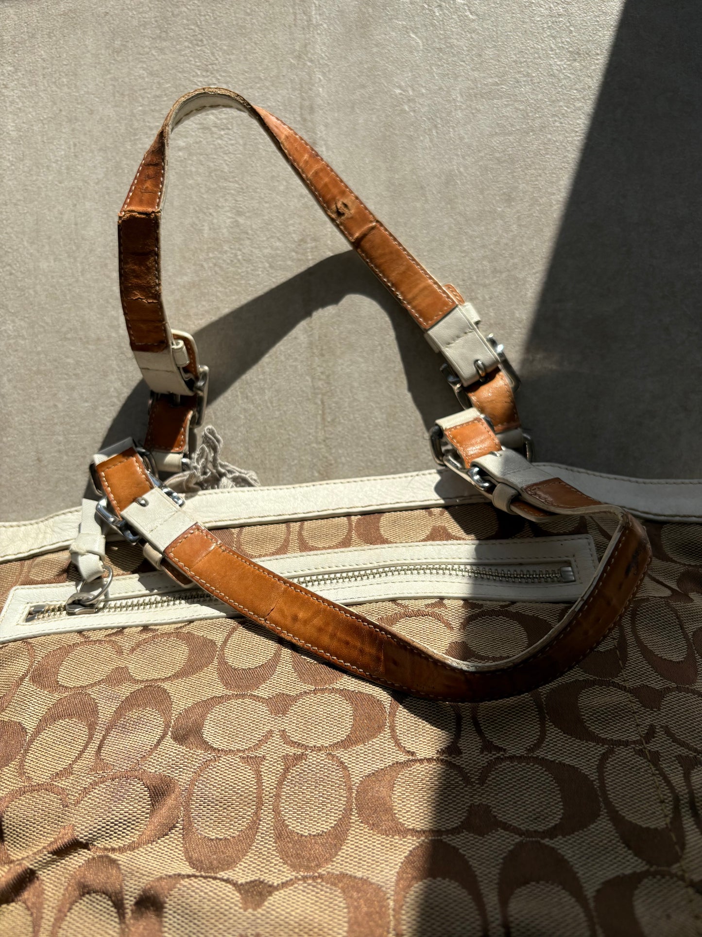 Coach Signature Carrier Tote *AF