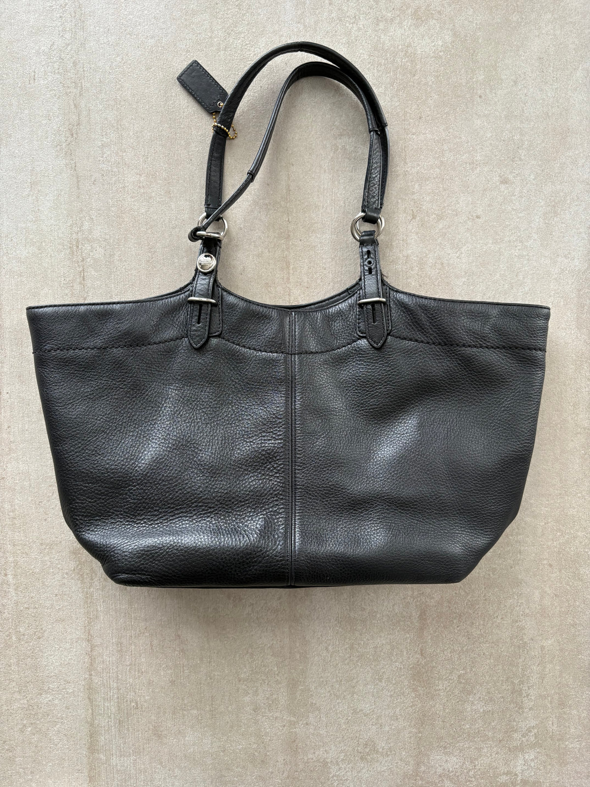 Coach Carly Leather Tote Bag
