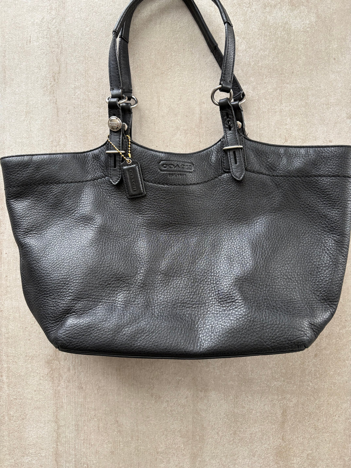 Coach Carly Leather Tote Bag
