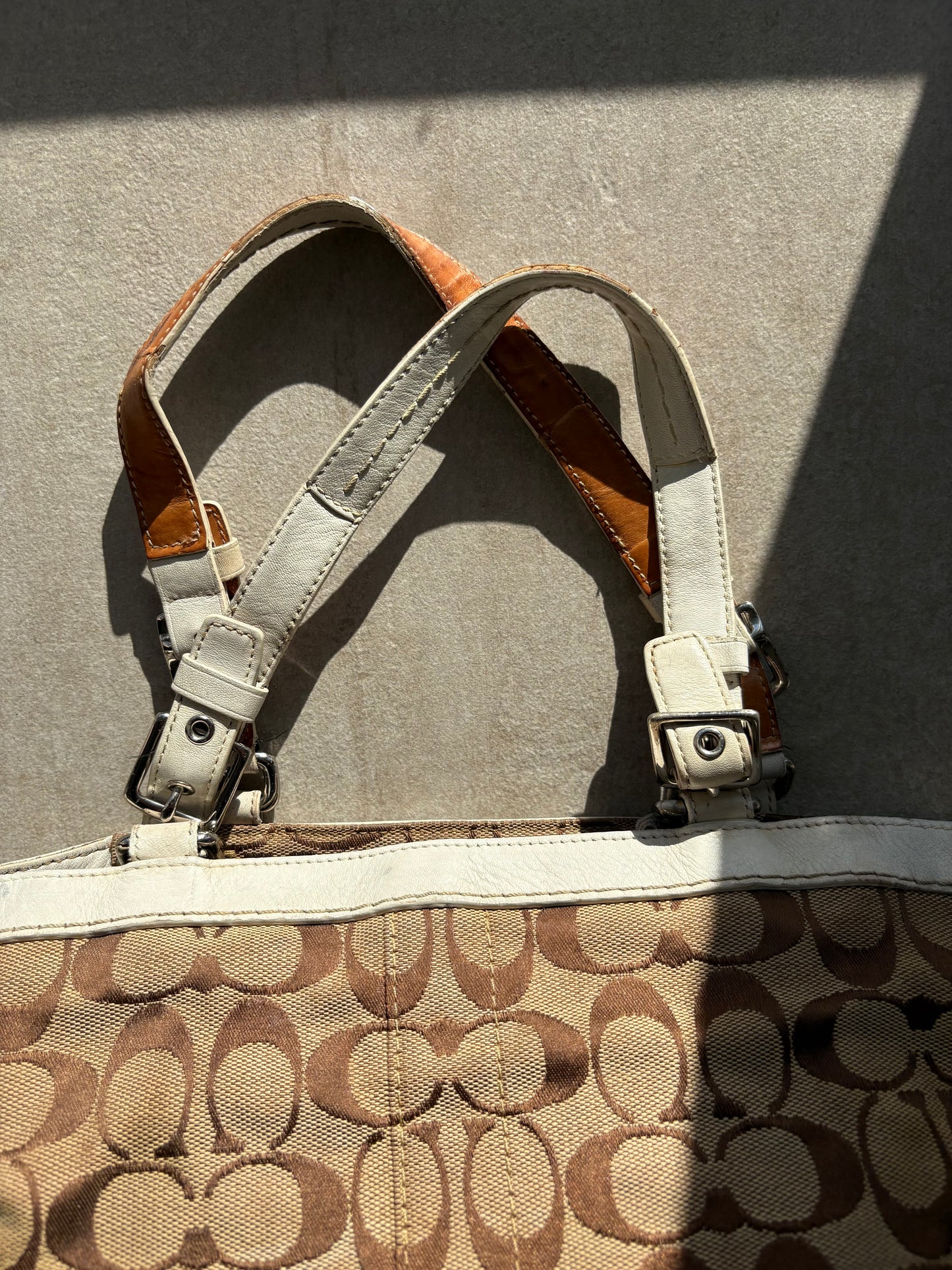 Coach Signature Carrier Tote *AF