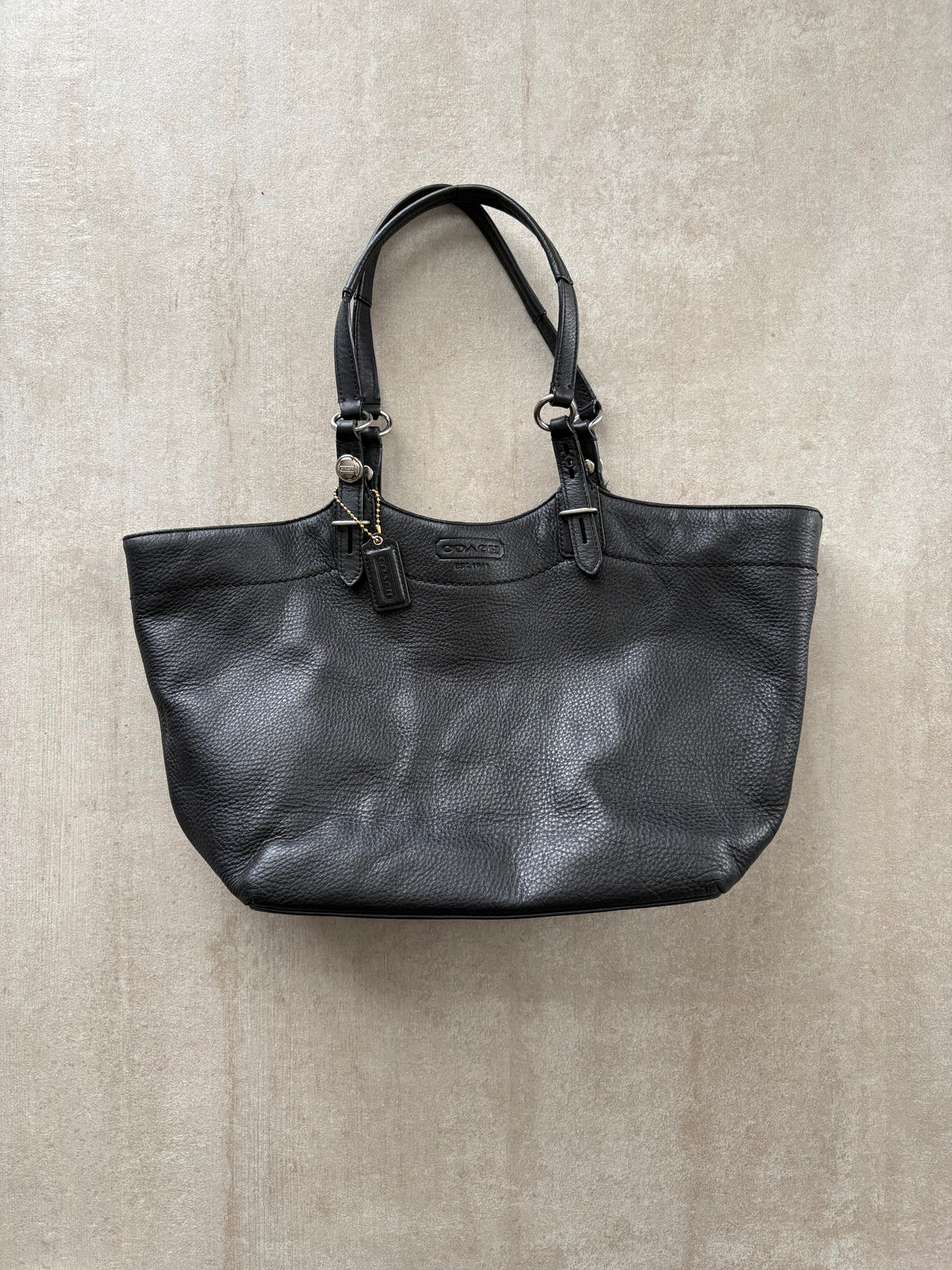 Coach Carly Leather Tote Bag