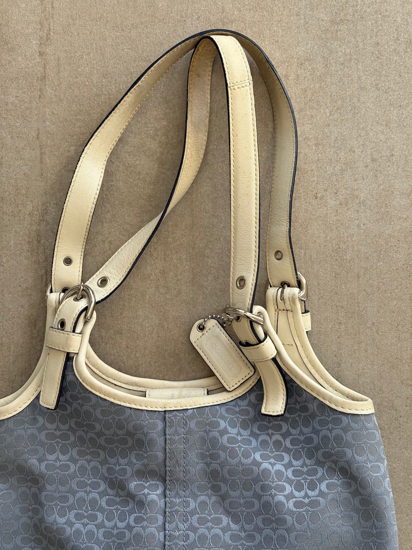 Coach Baby Blue Canvas Shoulder Bag