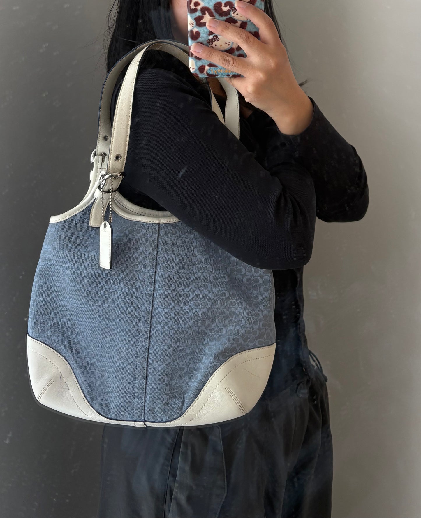 Coach Baby Blue Canvas Shoulder Bag